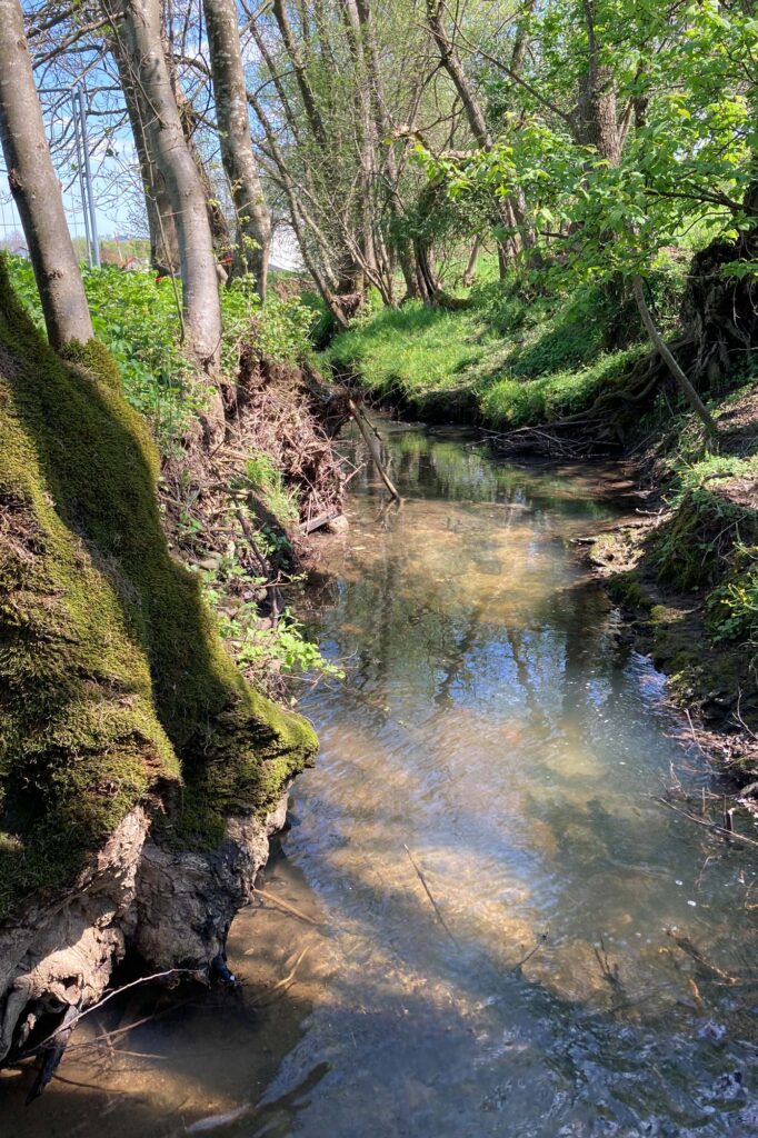 250519_Biotopverbund_WIT_05