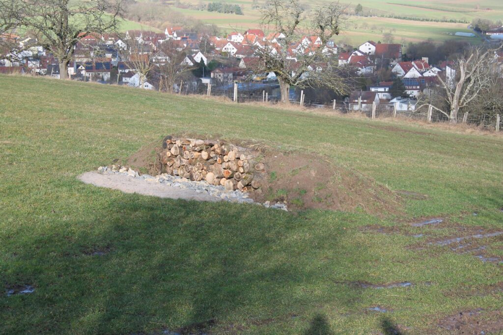 250604_AusgleichsflaecheZauneidechsen_06