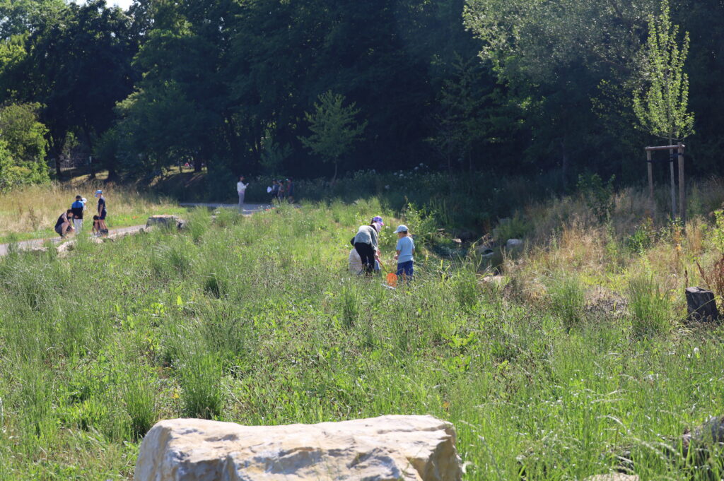 250604_NaturerlebnisBach_01