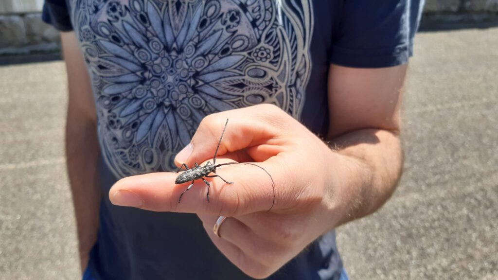 250604_NaturerlebnisWiese_03