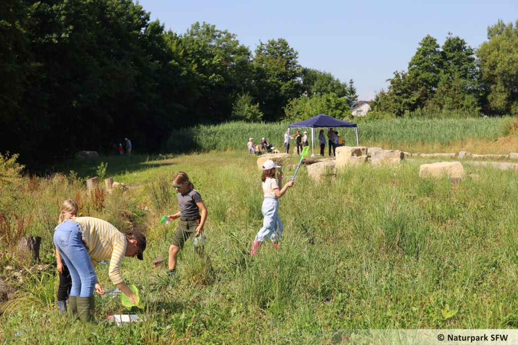 250604_NaturerlebnisBach_03